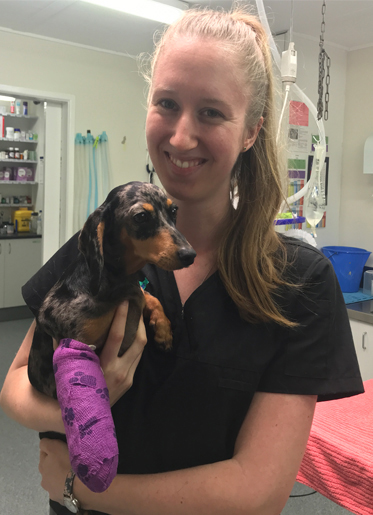 jordan - Vet Ipswich caring for local pets - Booval Vet Hospital ...